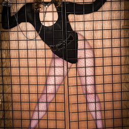Sailor Luna gets Caged